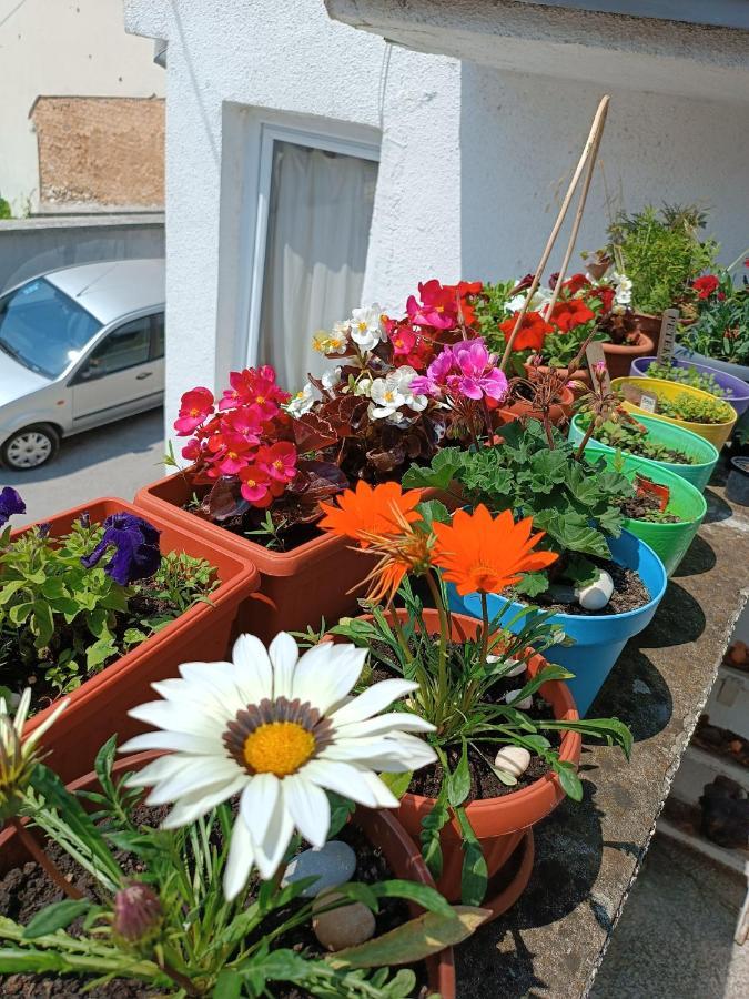 Apartman Ohren Σαράγεβο Εξωτερικό φωτογραφία