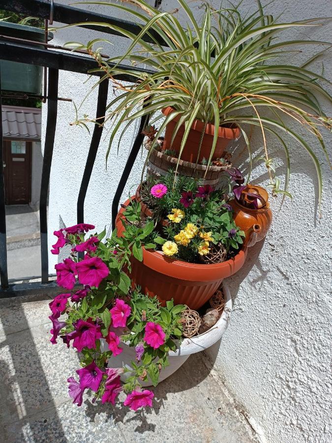 Apartman Ohren Σαράγεβο Εξωτερικό φωτογραφία